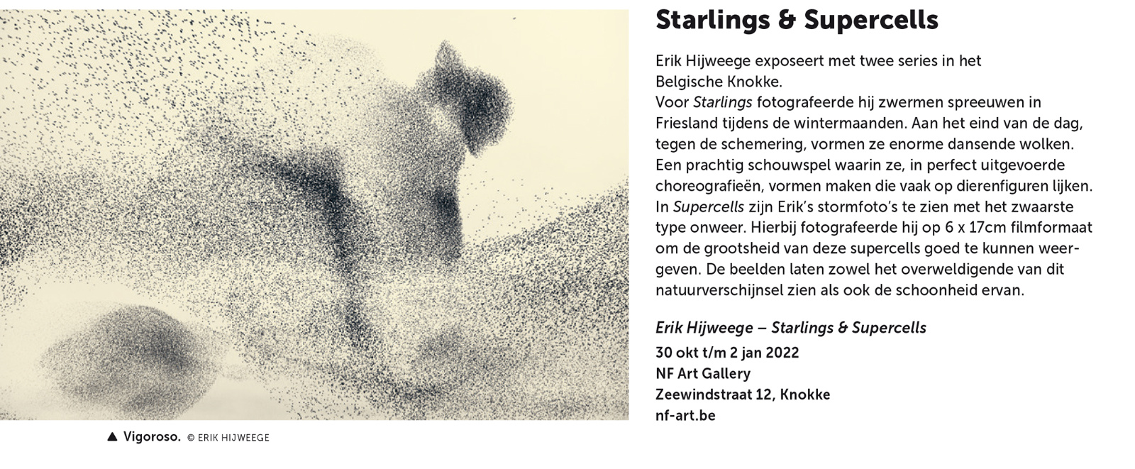 focus11-2021_4_infocus.indd