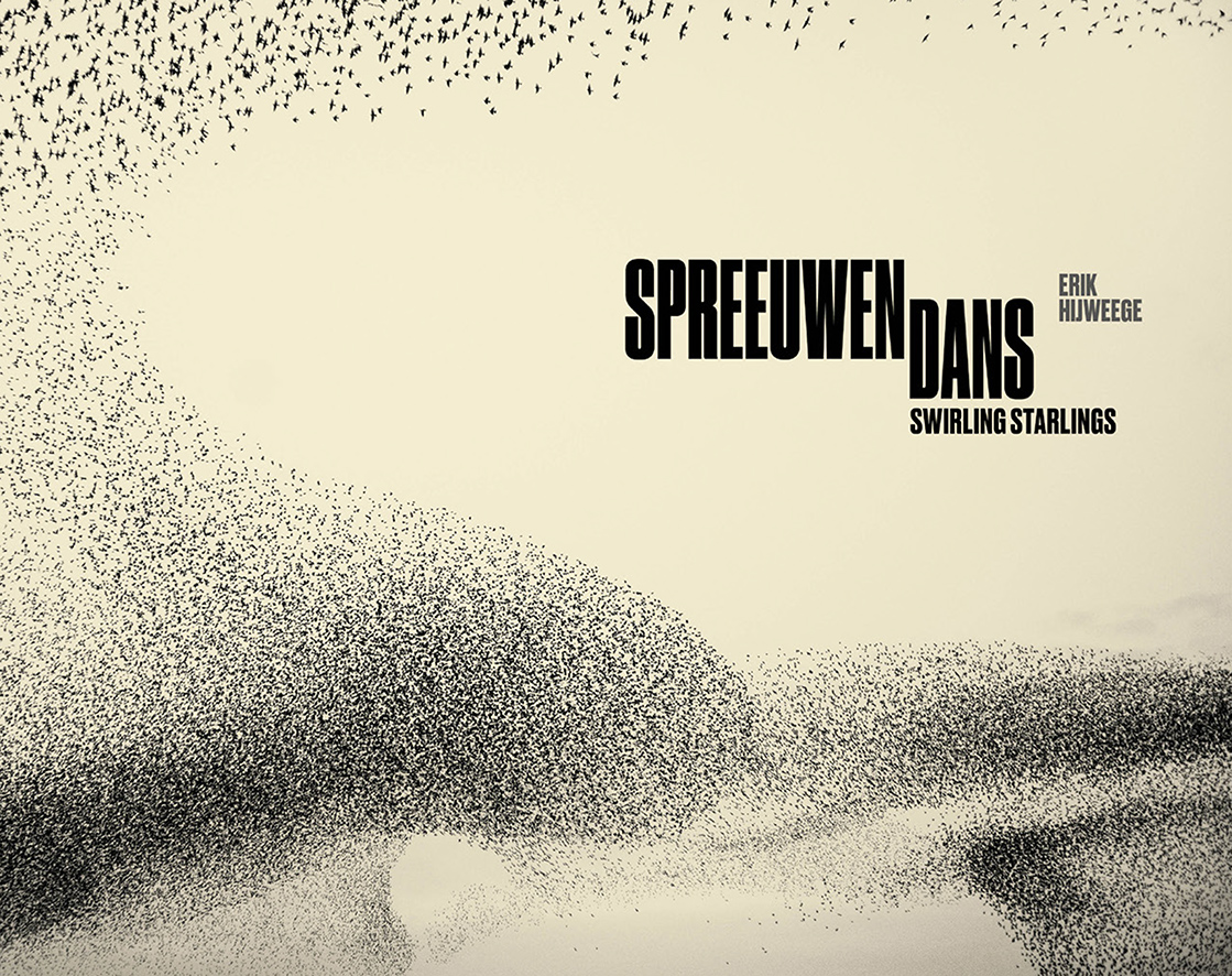Spreeuwendans